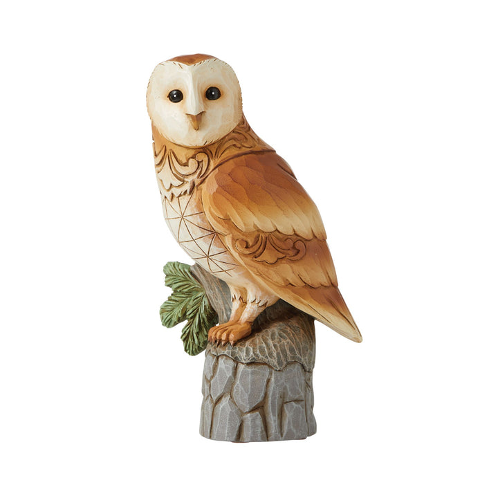 Barn Owl