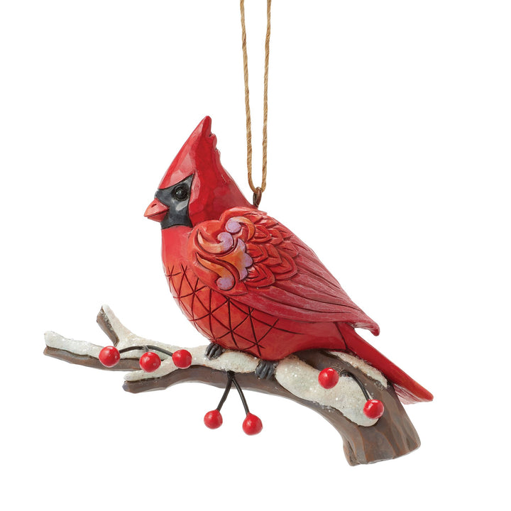 Caring Cardinal Blissful Berri