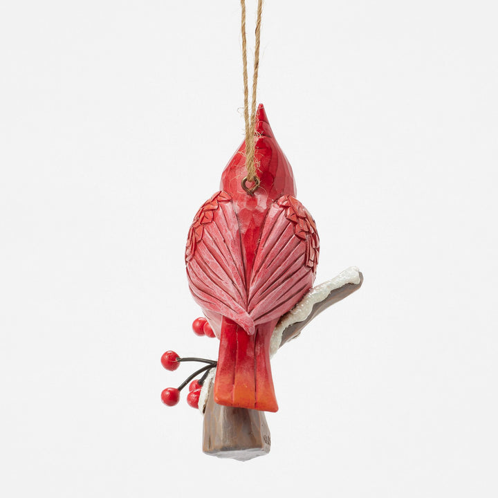 Caring Cardinal Blissful Berri