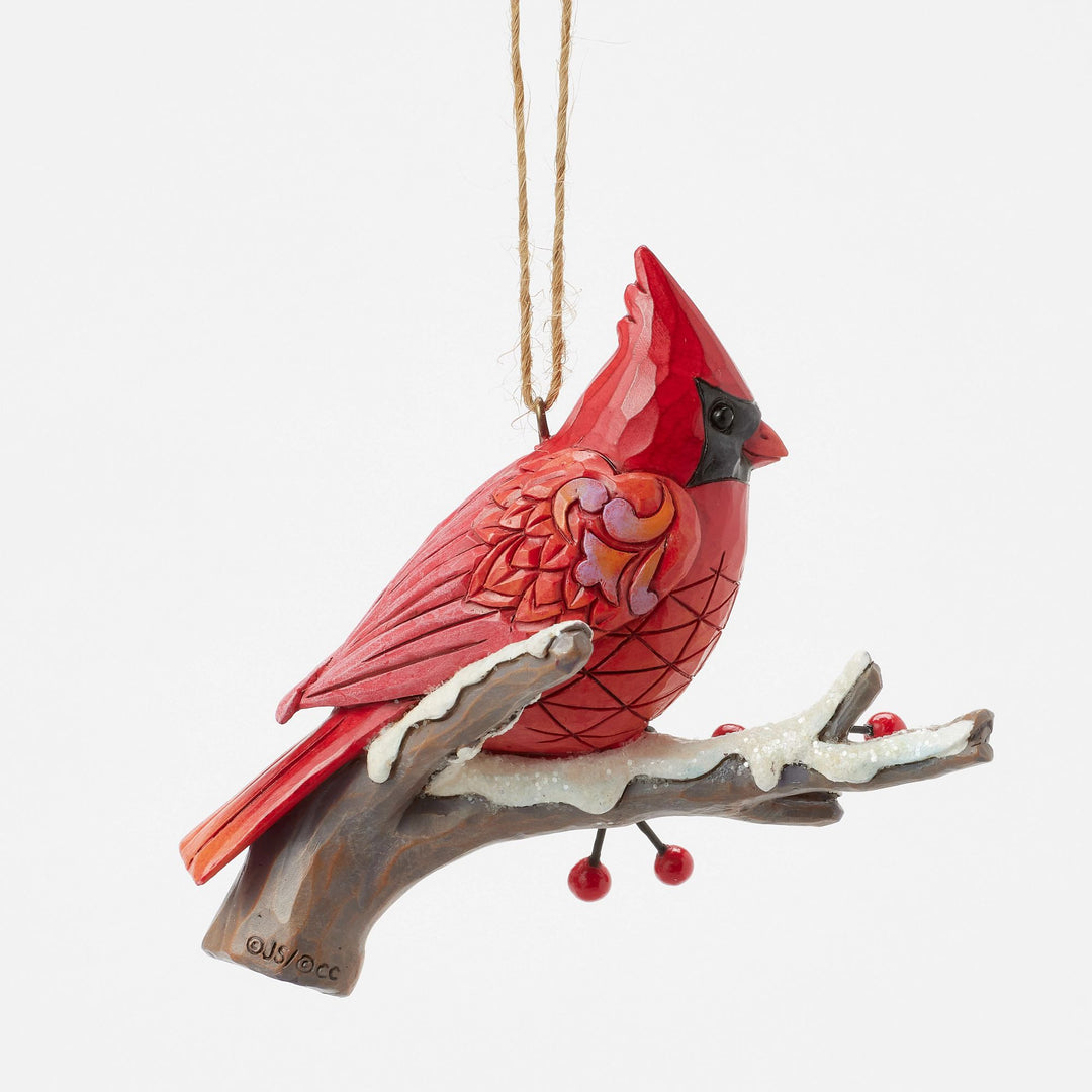 Caring Cardinal Blissful Berri