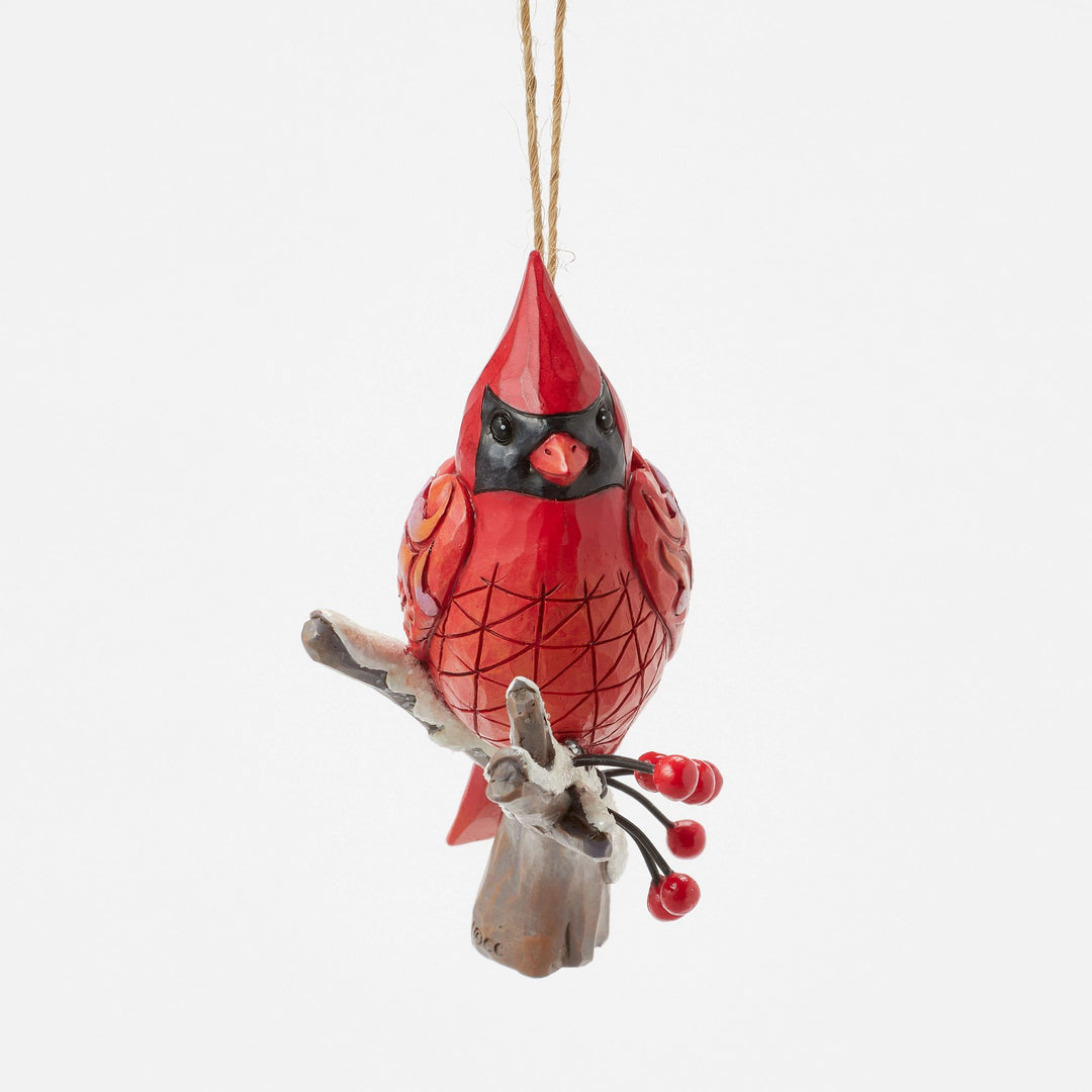 Caring Cardinal Blissful Berri
