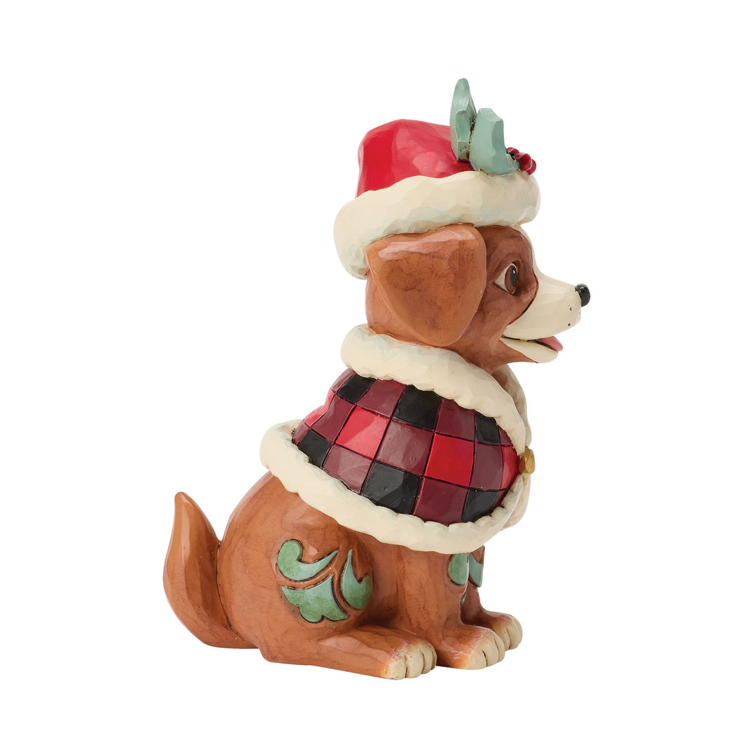 Highland Glen Dog Cape Fig