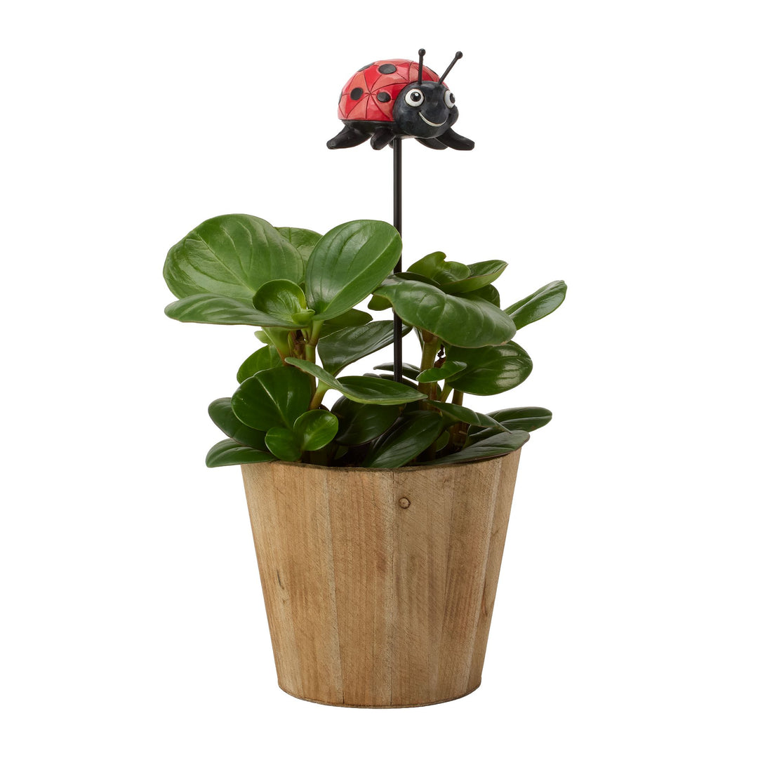 Plant Stake Ladybug